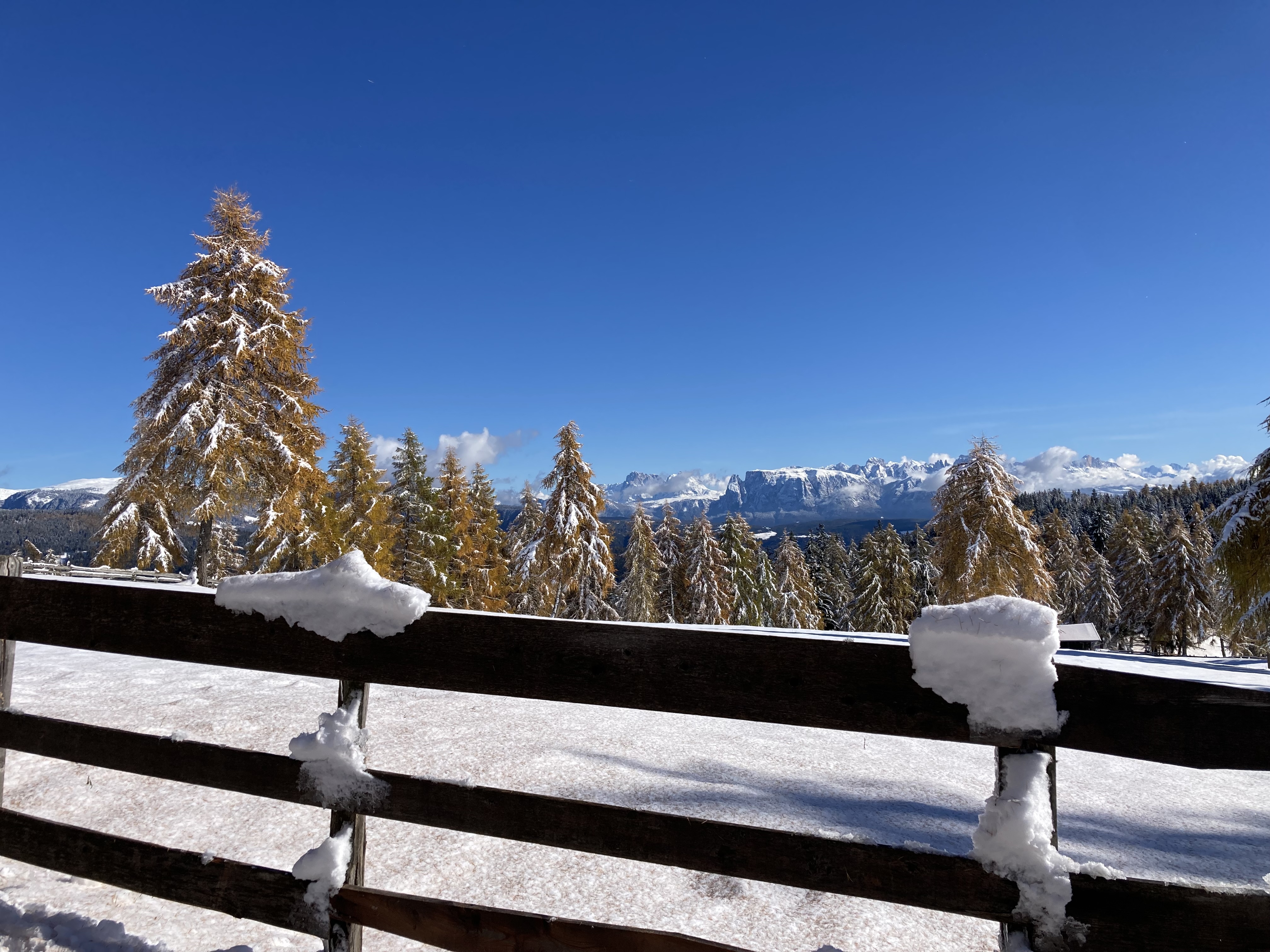 Berglandschaft im Schnee in der Sonne