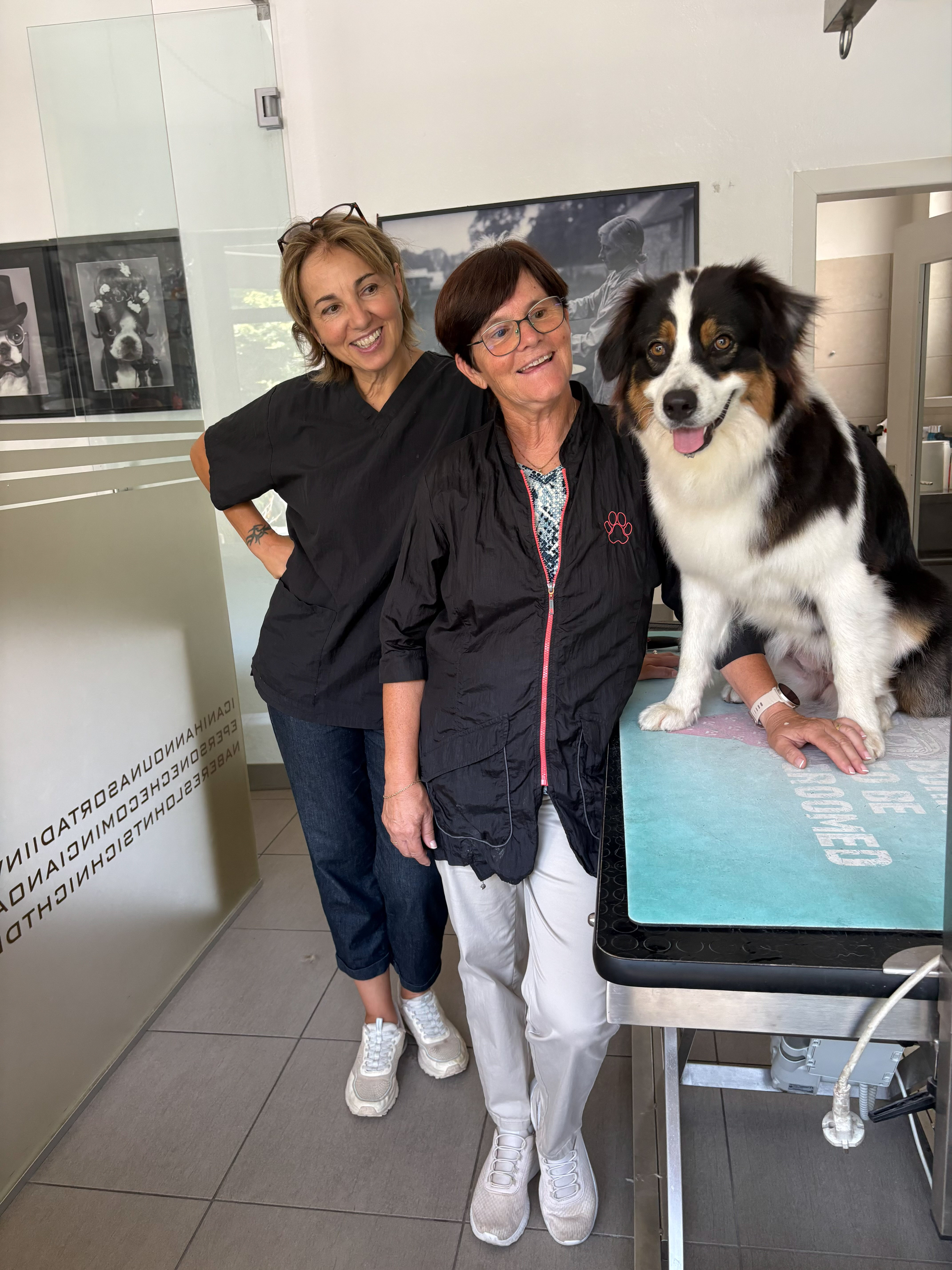 Petra zeigt einer Teilnehmerin im 1:1, wie sie ihren Hund pflegt