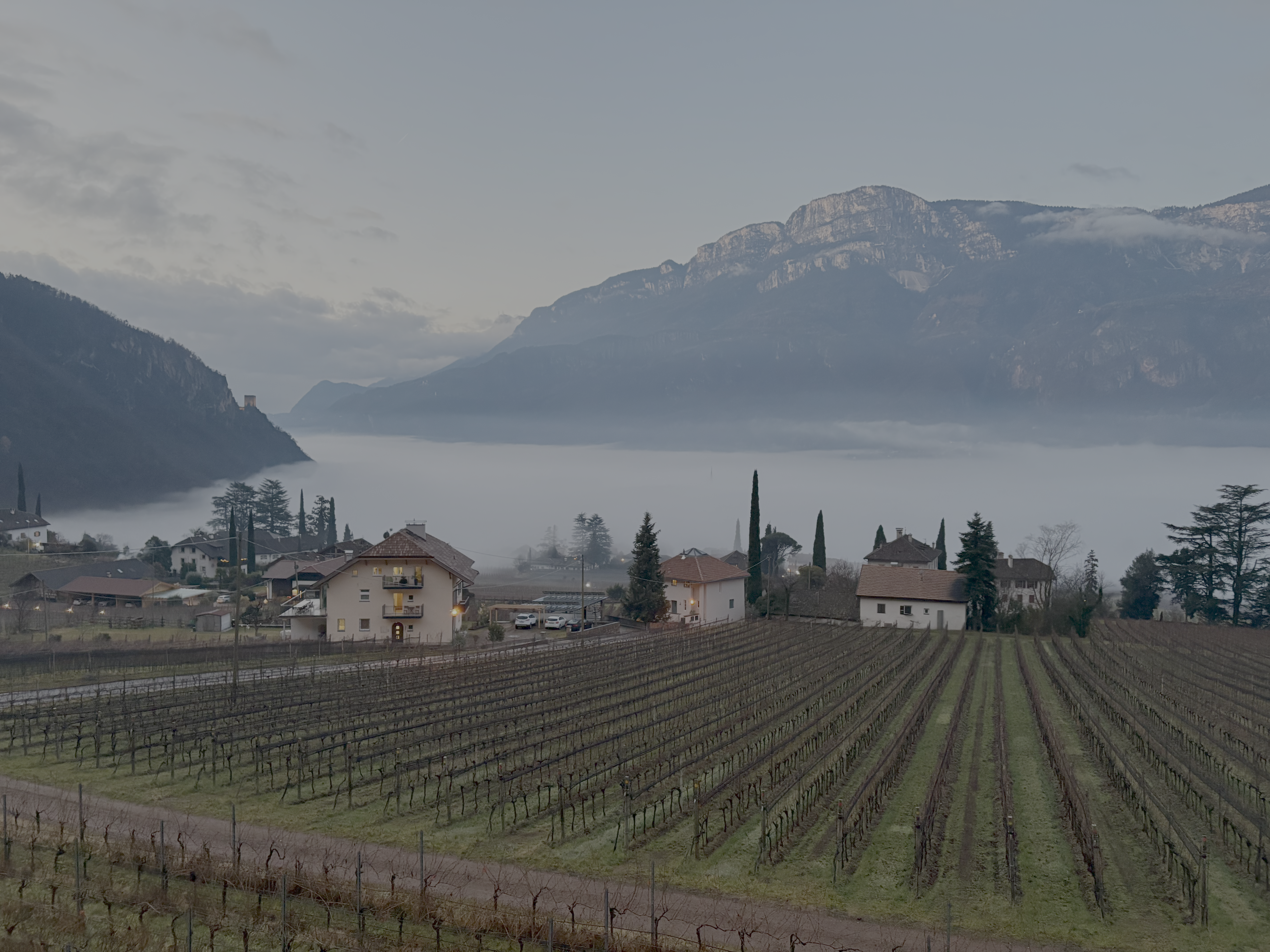 Weinberge und Berge in Südtirol im Nebel