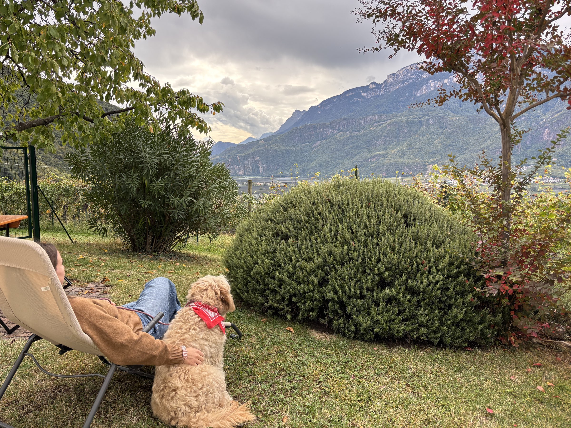 Besitzerin liegt mit Hund auf einer Liege und genießt die Aussicht